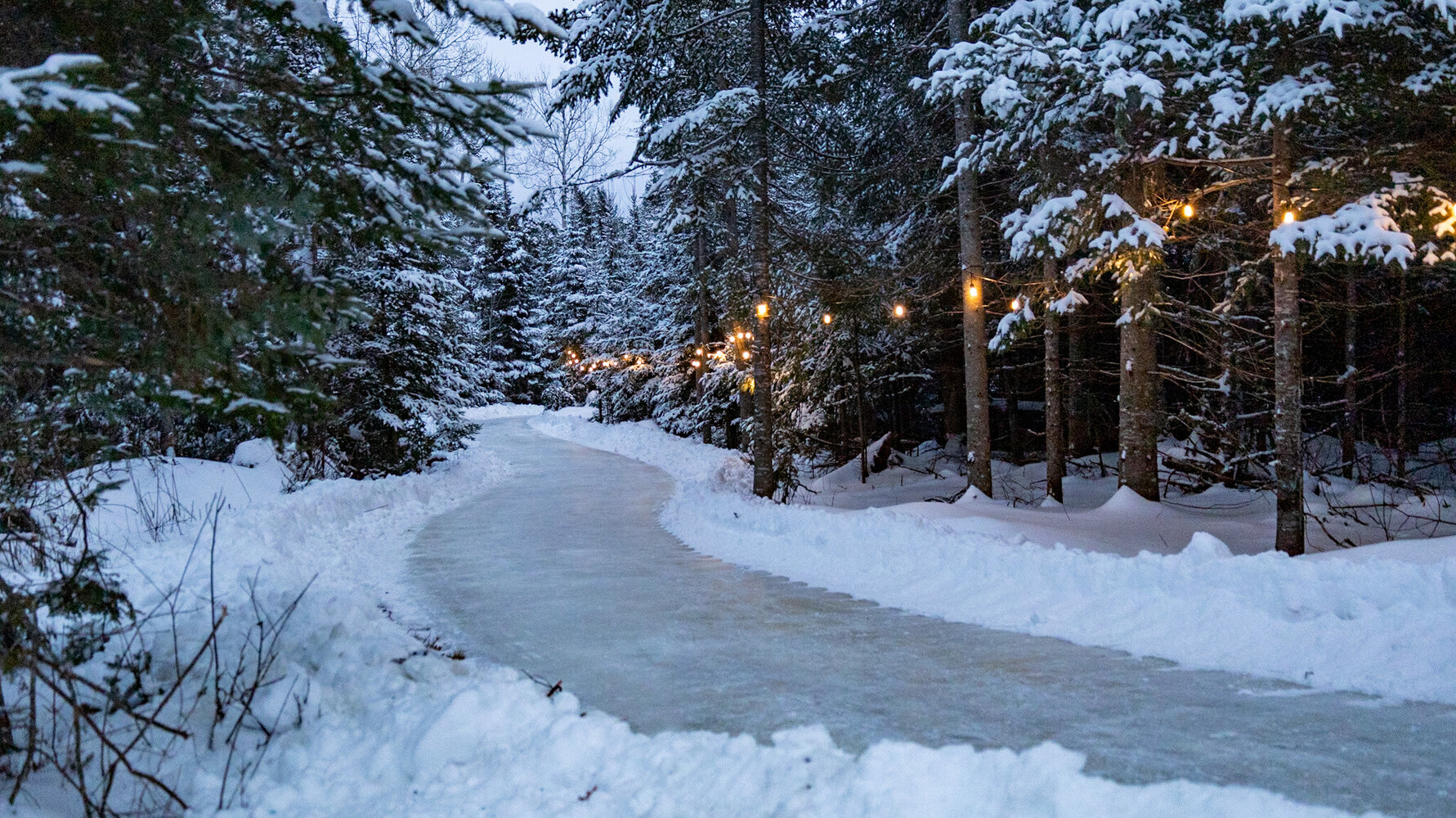 Frostival Winter Forest Escape