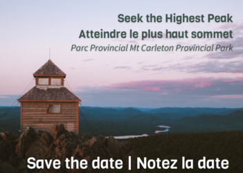 Seek the Highest Peak