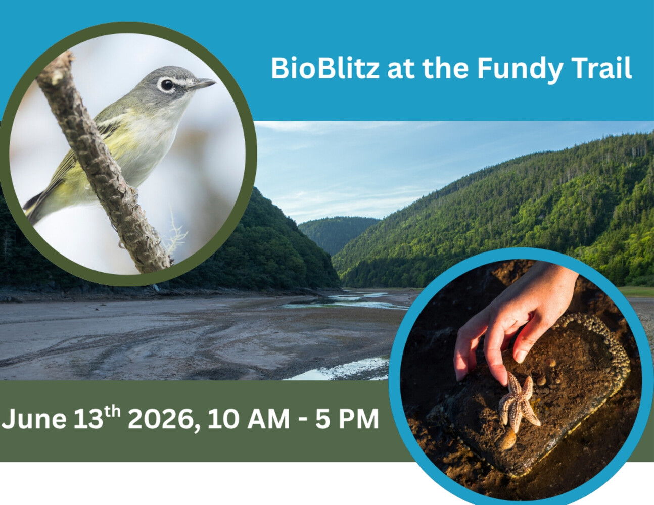 BioBlitz 2026 au parc provincial Fundy Trail