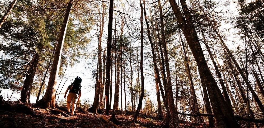Mactaquac Provincial Park