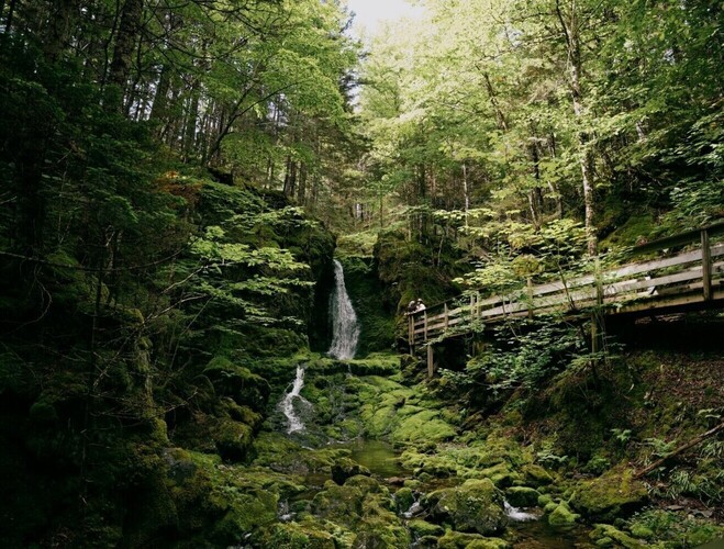 Fundy Trail Provincial Park