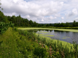 Mactaquac Provincial Park