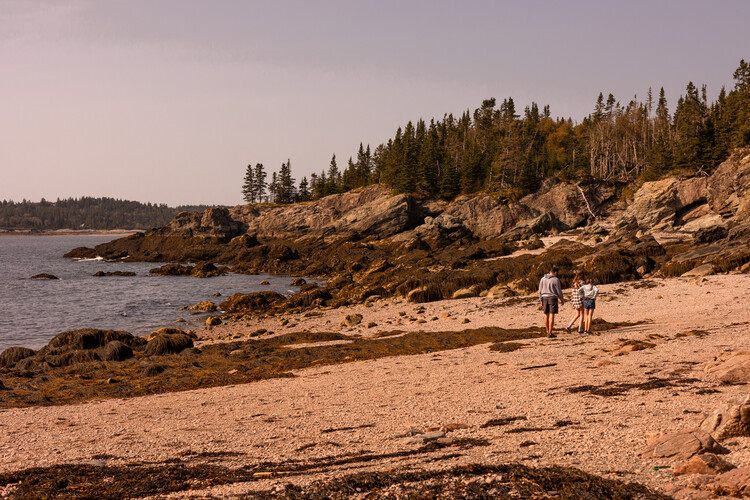Parc provincial de la plage New River Image