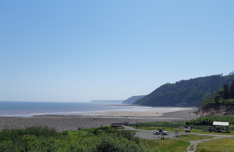 Beaches Image